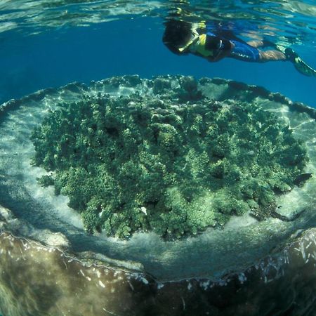 Sal Salis Ningaloo Reef Exmouth Exterior foto