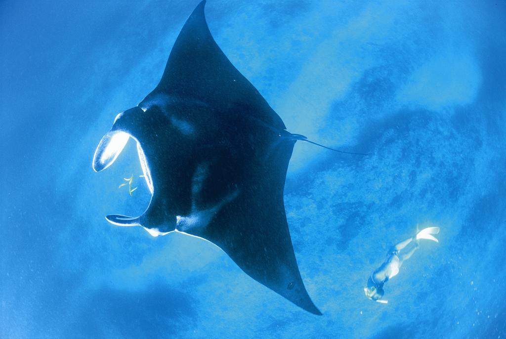 Sal Salis Ningaloo Reef Exmouth Exterior foto